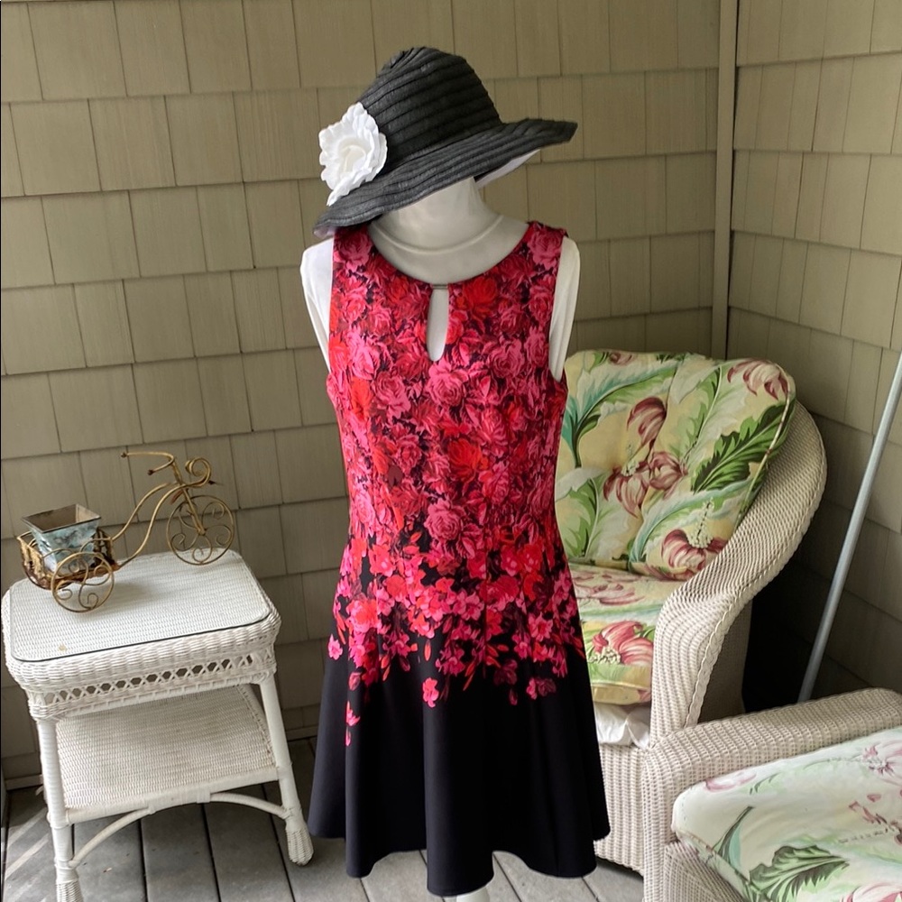 Gabby Skye Floral Sleeveless Dress size 12